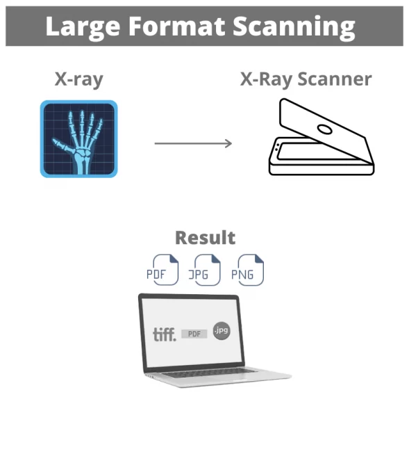 Film X-RAY Scanning 2 Xray Scanning
